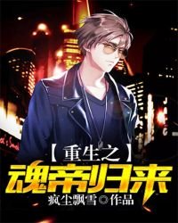 《重生之魂帝归来》