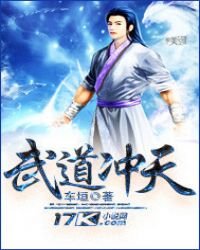 《武道冲天》