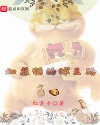 《加菲猫的球王路》