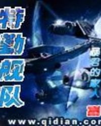 《特勤舰队》