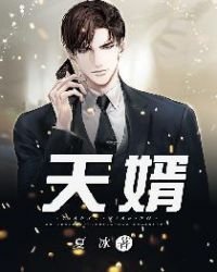 《天婿》