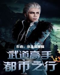 《武道高手都市之行》