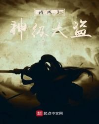 《我成了神级大盗》