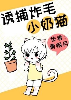 《诱捕炸毛小奶猫》