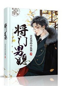 《将门男媳》