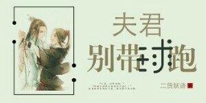 《夫君,别带球跑!》
