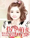《昏爱BOSS:拐个萌妻万万岁》