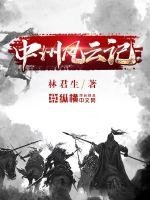 《中州风云记》