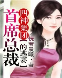 《四神集团①:首席总裁的逃妻》