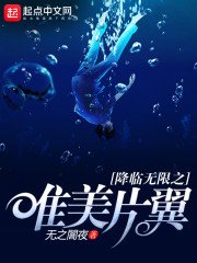《降临无限之唯美片翼》