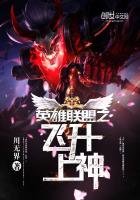 《英雄联盟之飞升上神》