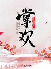 《掌欢》