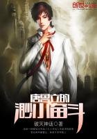 《唐鲁立的渺小奋斗》