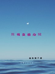 《(陈情令同人)陈情之偷心贼》