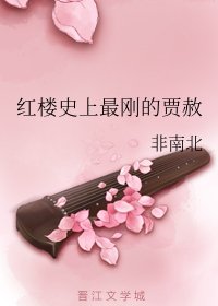 《(红楼同人)红楼史上最刚的贾赦》