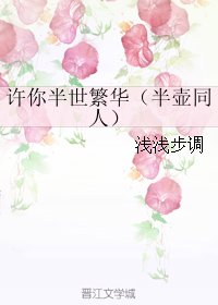 《(BG/独孤天下同人)许你半世繁华(半壶同人)》