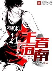《灌篮高手之王者海南》