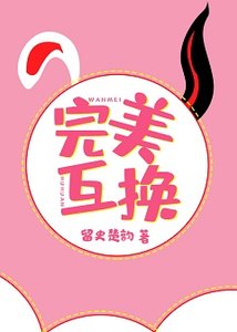 《完美互换gl》
