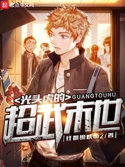 《光头虎的超武末世》