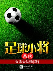 《足球小将系统》