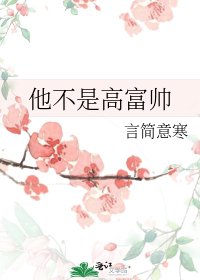 《他不是高富帅》