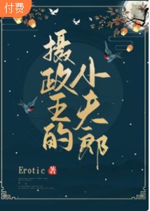 《摄政王的小夫郎》