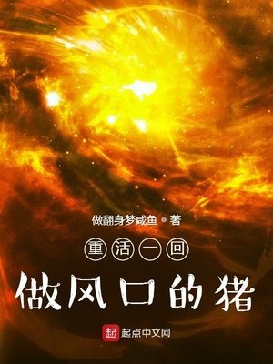 《重活一回:做风口的猪》