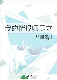 《我的情报师男友》