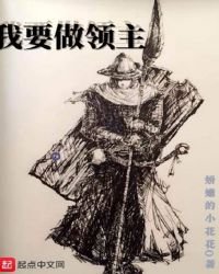 《我要做领主》