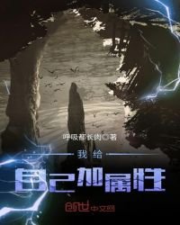 《我给自己加属性》