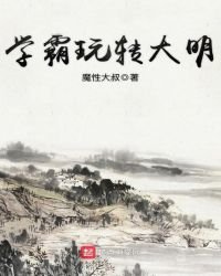 《学霸玩转大明》