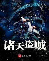 《诸天盗贼》