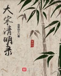 《大宋清明录》