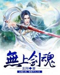 《无上剑魂》