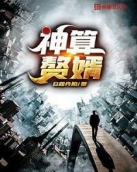 《神算赘婿》