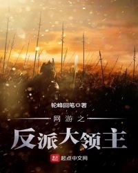 《网游之反派大领主》