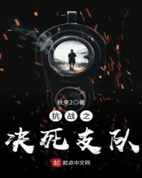 《抗战之决死支队》