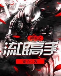《网游之流氓高手》