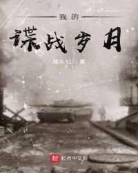 《我的谍战岁月》