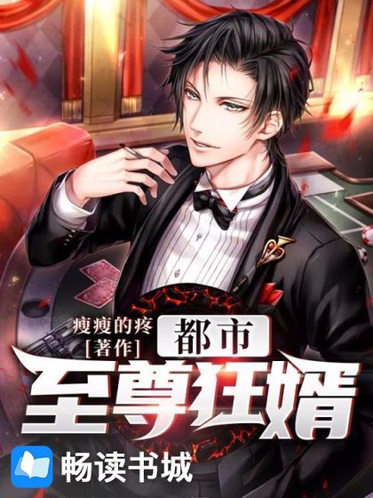 都市至尊狂婿