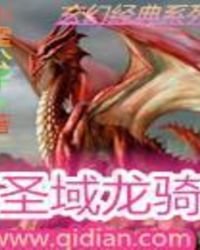 《圣域龙骑》