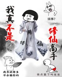 《我真不是修仙高手》