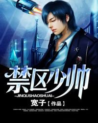 《禁区少帅》