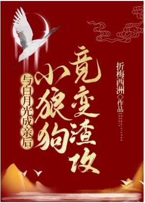 《与白月光成亲后,小狼狗竟变渣攻/下堂男妻》