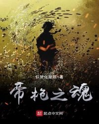 《帝枪之魂》