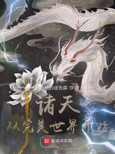 《诸天:从完美世界开始》
