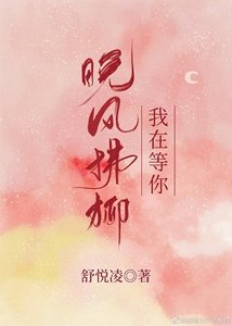 《晚风拂柳我在等你》