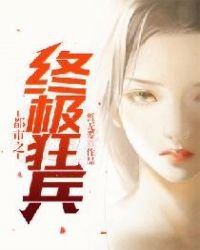 《都市之终极狂兵》