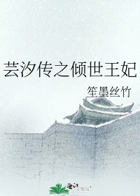 《(综同人)芸汐传之倾世王妃》