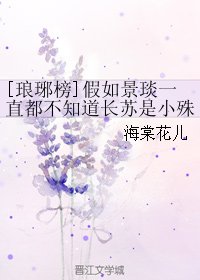 《(BL/琅琊榜同人)假如景琰一直都不知道长苏是小殊》